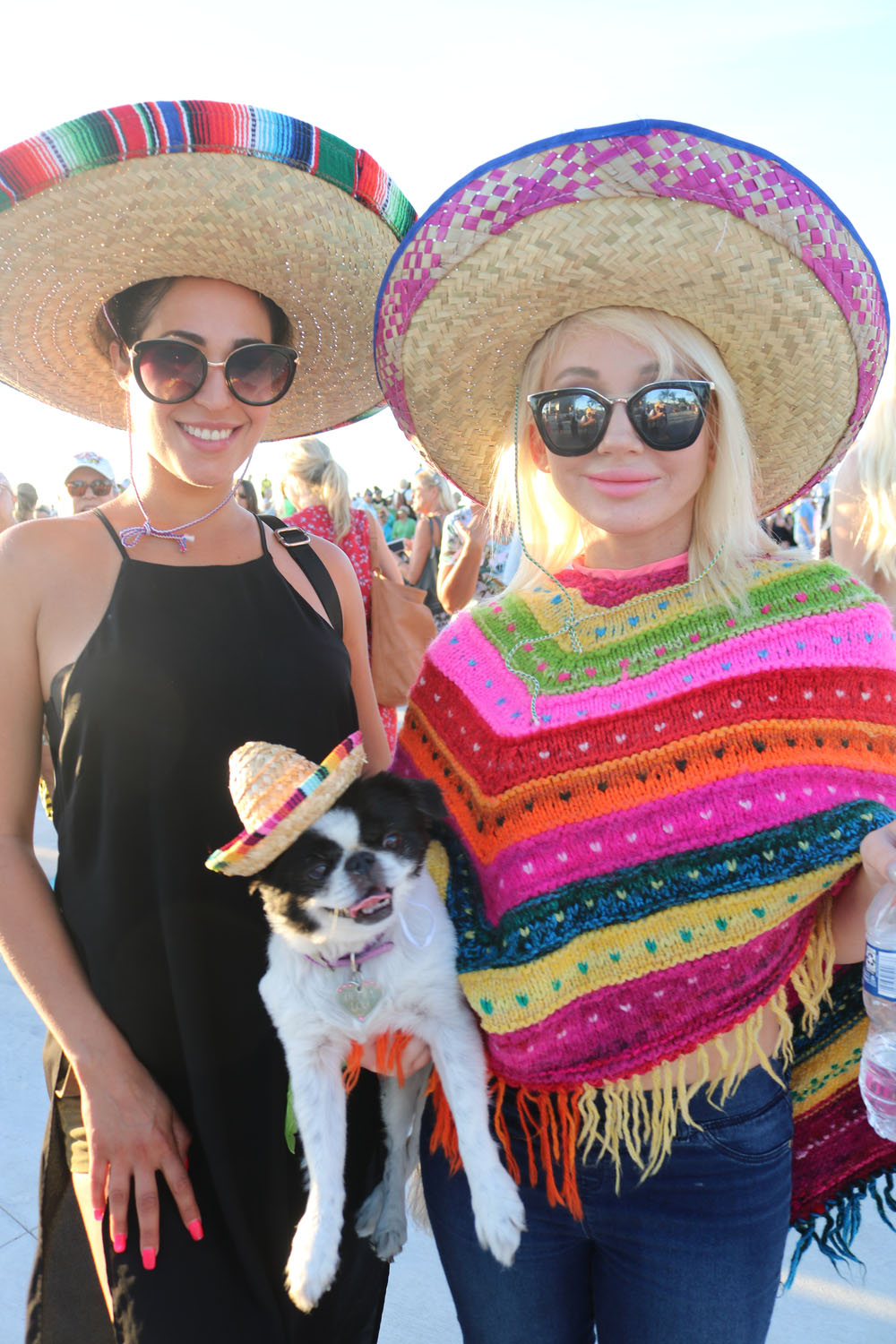 Pet Masquerade 2018 photo - Duval Street, Key West